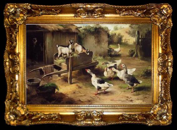 framed  unknow artist Poultry 076, ta009-2